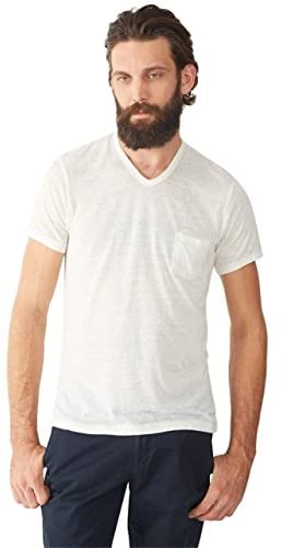 Alternative Men's Leo V-Neck Tee
