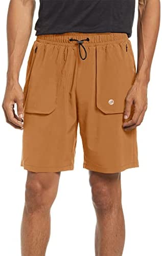 Men's Hiking Cargo Shorts Quick Dry Outdoor Travel Shorts for Men with Multi Pocket for Fishing Camping Casual