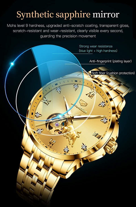Men's Luxury Stainless Steel Sapphire Dial Watch