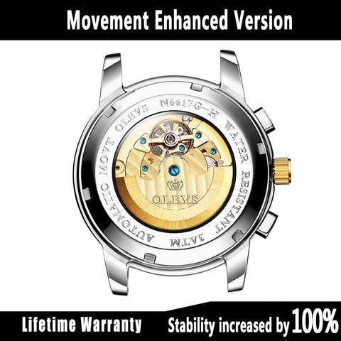 Mens Automatic Mechanical Tourbillon Wrist Watch