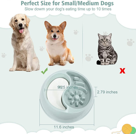 Slow Feeder Dog Bowls, XZQTIVE Newest 2 in 1 Double Dog Bowl for Food and Water, Interactive Bloat Stop Pet Bowl Anti-Gulping Slow Eating Non Slip Non-Toxic Healthy Design