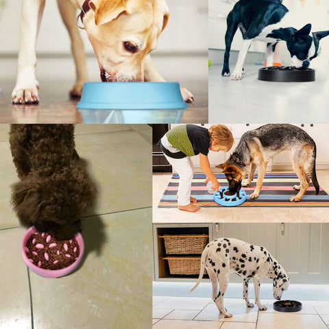 XZQTIVE Slow Feeder Dog Bowl Anti Fast Eating Large Feeder Slow Feeding Interactive Bloat Stop Dog Bowls