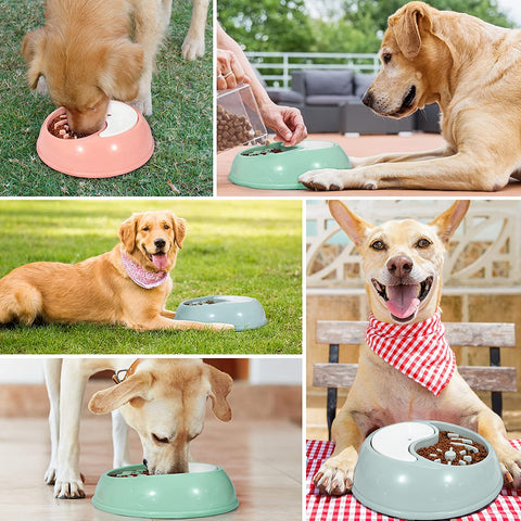 Slow Feeder Dog Bowls, XZQTIVE Newest 2 in 1 Double Dog Bowl for Food and Water, Interactive Bloat Stop Pet Bowl Anti-Gulping Slow Eating Non Slip Non-Toxic Healthy Design
